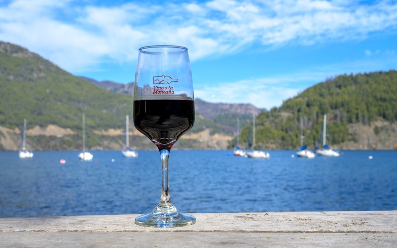 Conocé las bodegas que participarán de la feria de vinos de la Patagonia en SMA