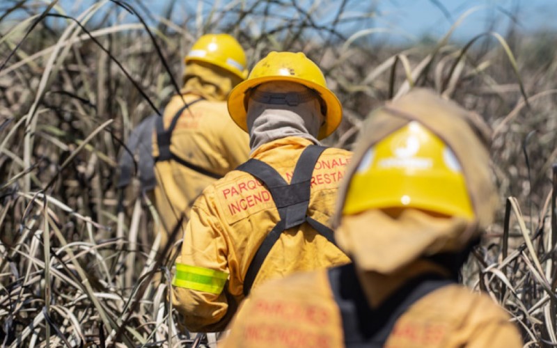 Incorporan 35 nuevos brigadistas combatir incendios en la Patagonia