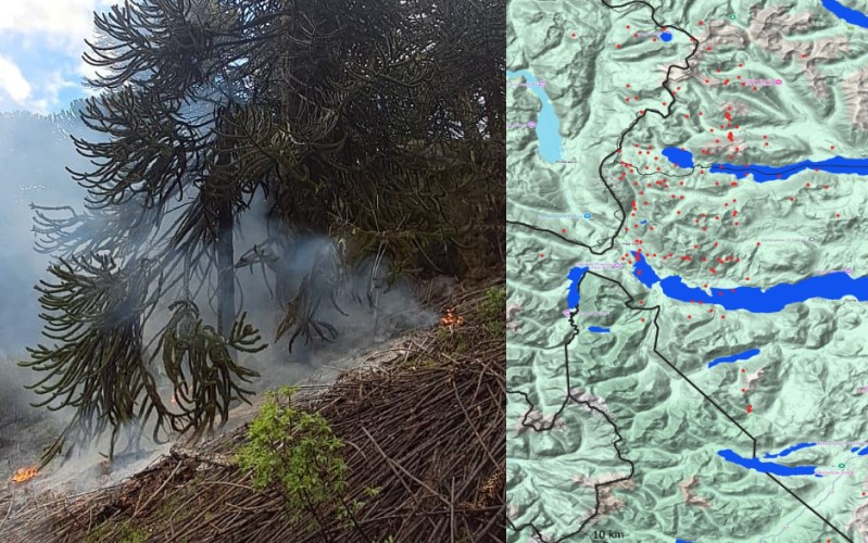 Cinco focos de incendio declarados en zona Quillén