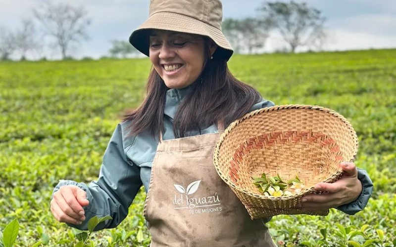 El “Mejor Blend de Argentina”, es de San Martín de los Andes